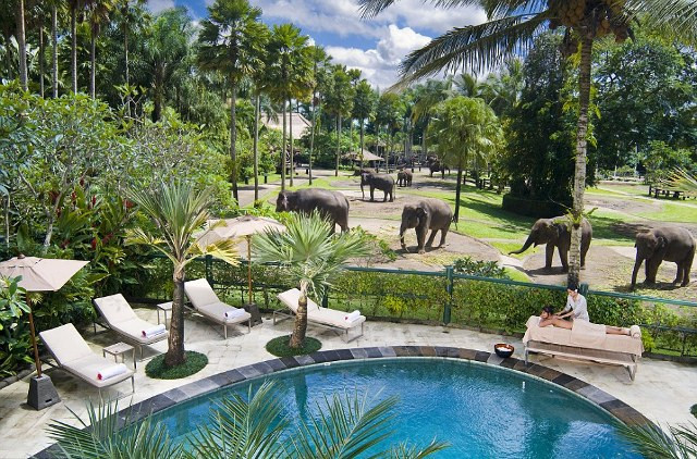 elephant park taro