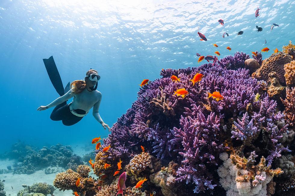 Fiji-08