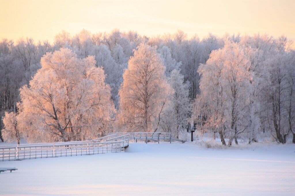 snow-3793729_1280